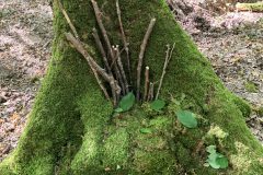 bon-natstream-prestation-land-art-scaled
