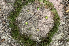 bon-natstream-prestation-land-art2