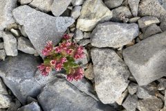 img-0319-scaled